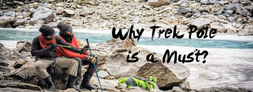 trek pole, top trek pole